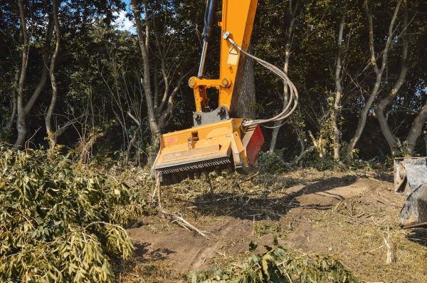 Brush Removal Service in Harlingen