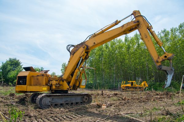 Farm Clearing in Harlingen