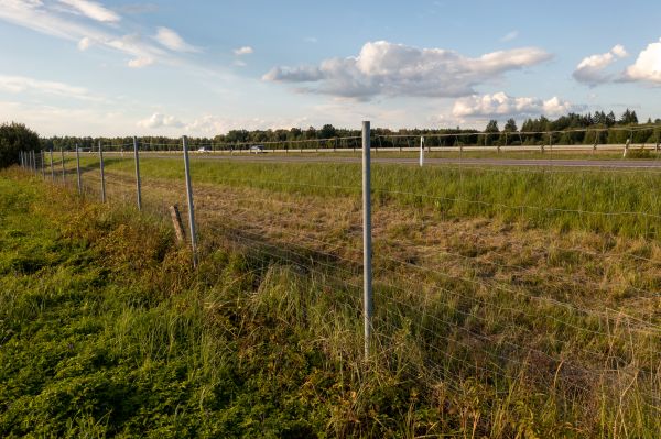 Property Line Clearing in Harlingen