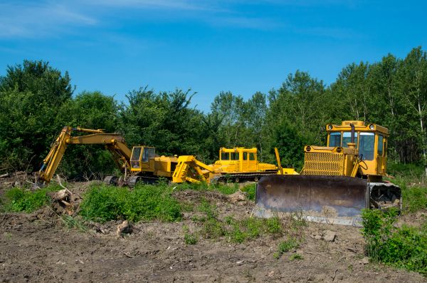 Bulldozer Clearing in Harlingen