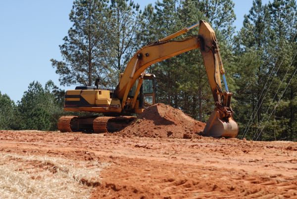 Easement Land Clearing in Harlingen
